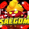 saegdm