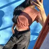 shey_355