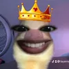 yourlayan2