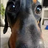 oskar.poniak3