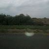 zireddin.bekirov