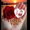 user259444737