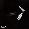 zev__3