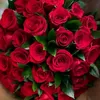 roseni.focas