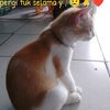 tatikuswati765