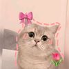 gracely_zee