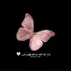 dunya.ahmed17