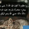 user1428072997114
