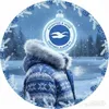 brightonhovefc3