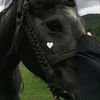 blackgril126
