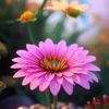 amna.shamasneh