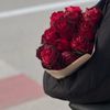 hala.abdelaliy