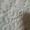 kozhin2021
