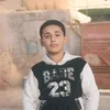 sk_dmnb