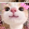 nazira_rendem