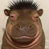 christandinh5