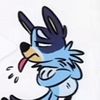 fanbluey29