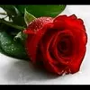user1570428084424