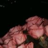 .kosmos01