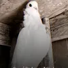 zainab54655