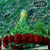 user986710469252