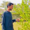 alishahzad111133