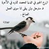 user885432518113