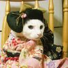 le.femm3