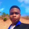 tysg381
