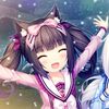 mycatmeowsmeow