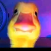iehfbfbjdidbxvxbdi