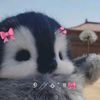 pengguipin0