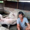 mupakat.sihombing