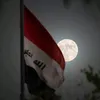 4_dp7