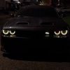 d4doge.challenger