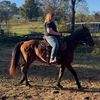 lindsey.green68