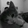thanhnhank09