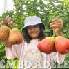 berkebunmandiri