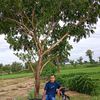 gembul.fiermansya