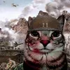 l.n.k.nam7