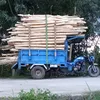 nguyen.minh.danh37