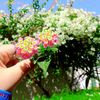 user22571610855158