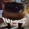 papandos1c