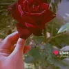 user3323826808695
