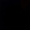 alipp_441