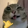 qtttt1029