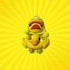 xducky_official