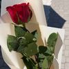 sihaam.mohamed24