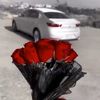 tt_r204