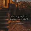 insha.789